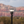 Load image into Gallery viewer, Cook & Camp Light