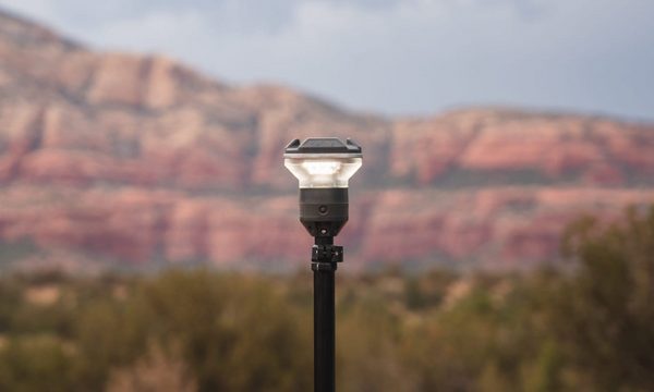 Cook & Camp Light