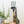 Load image into Gallery viewer, Rockbridge Wall Hook | Holds 50 lbs | Single
