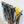 Load image into Gallery viewer, Lone Peak Ski Rack | Adjustable Wall Storage System | Holds 5 Pairs of Skis
