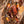 Load image into Gallery viewer, Yellowstone Hot Sauce Variety Pack 4 Bottles
