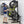 Load image into Gallery viewer, Freestanding Bike Rack | G-Bike | Holds 5 Bikes
