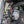 Load image into Gallery viewer, Bronco and Bronco Raptor Roll Bar Mount
