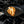 Load image into Gallery viewer, CHD Nonstick Fry Pan | Made in Switzerland
