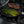 Load image into Gallery viewer, CHD Nonstick Fry Pan | Made in Switzerland
