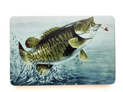 Smallmouth Bass Fishing Color Hitch Cover