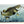 Load image into Gallery viewer, Smallmouth Bass Fishing Color Hitch Cover
