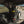 Load image into Gallery viewer, 4 Door Bronco Plate - Power Tank or Propane Tank mount (6th Gen 2021+)
