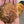 Load image into Gallery viewer, Turkey Time Rub
