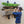 Load image into Gallery viewer, Avon Wakeboard Wall Mounted Rack | 4 Levels
