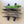 Load image into Gallery viewer, Avon Wakeboard Wall Mounted Rack | 4 Levels
