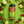Load image into Gallery viewer, Chili Lime Rub
