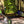 Load image into Gallery viewer, Flame King 3 Outlets Adapter 20 to 1LB Propane Tank Distribution Post Pole Tree Stem Stand
