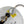 Load image into Gallery viewer, Flame King 5 FT QCC to 3/8″ Female Flare Nut w/Regulator-Steel Braided Hose
