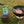 Load image into Gallery viewer, Flame King Propane Torch with Gas Ignitor
