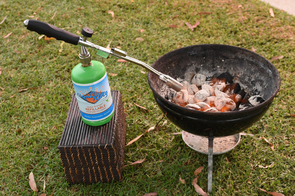 Flame King Propane Torch with Gas Ignitor