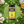 Load image into Gallery viewer, Garlic² Rub

