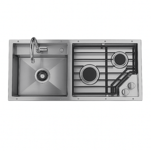 Stainless steel sink and dual-burner cooktop insert with faucet and knobs