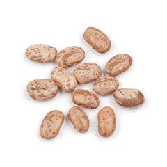 Dried Pinto Beans
