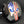 Load image into Gallery viewer, Punisher American Flag Blue Eyes Hitch Cover
