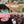 Load image into Gallery viewer, REVO Party Barge Cooler | Pink Coral - HitchFire
