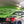 Load image into Gallery viewer, Hi-Port 1 | SUP Storage Ceiling and Wall Hooks | Holds 50 lbs
